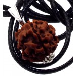 Rudraksha Sacred Seed Pendant